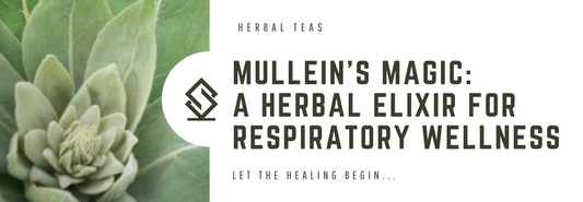 Mullein Leaf: A Herbal Elixir for Respiratory Wellness