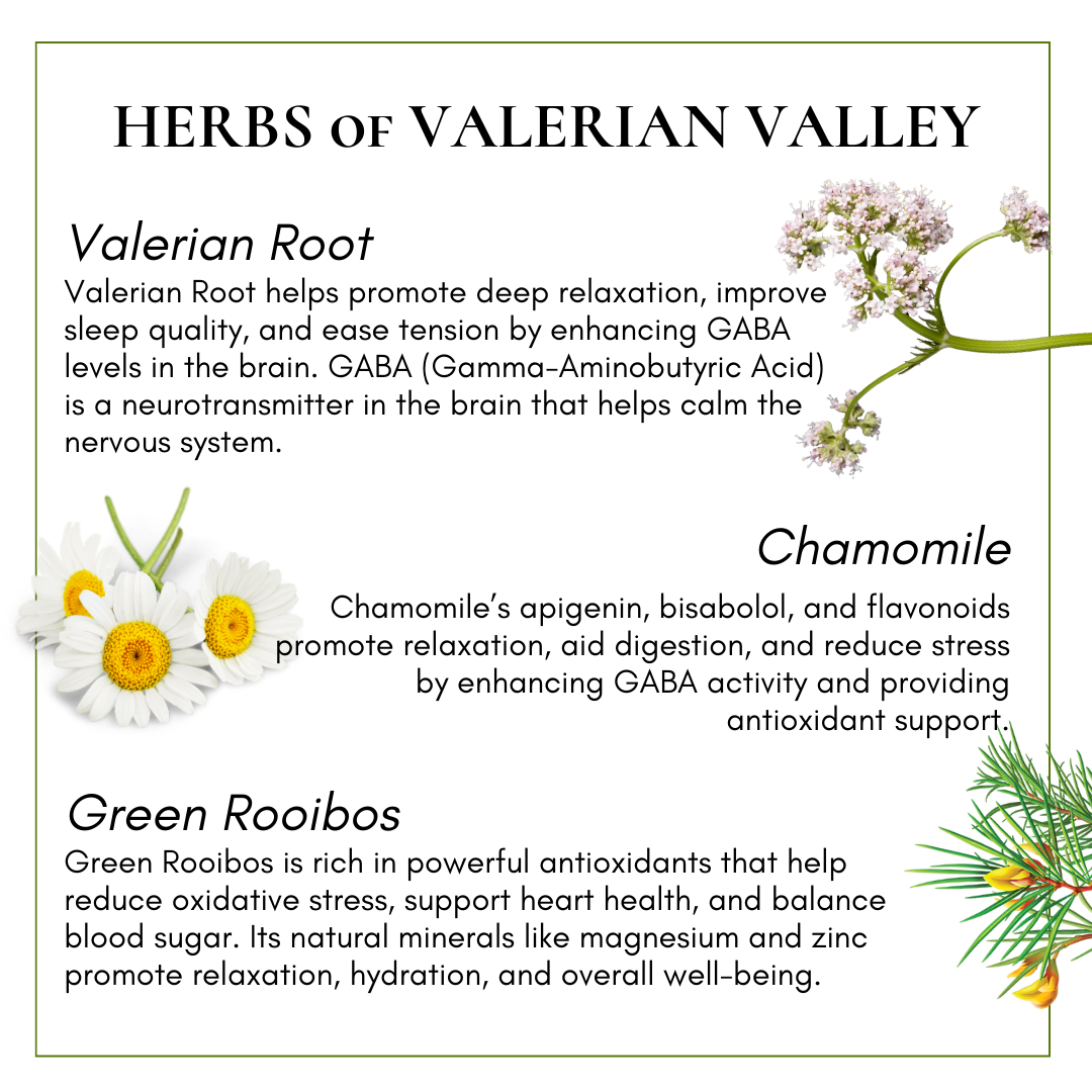 Valerian Root Tea