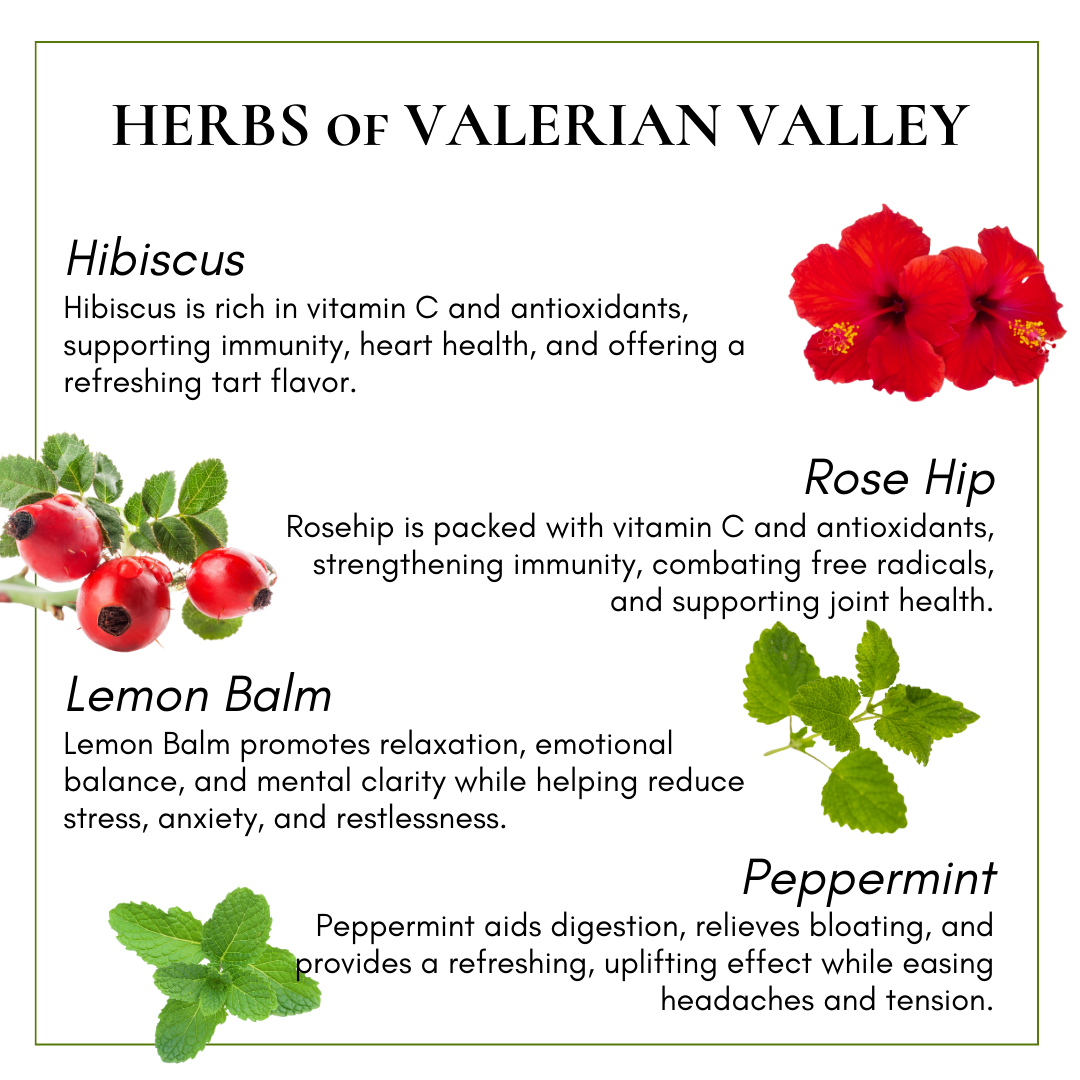 Valerian Root Tea