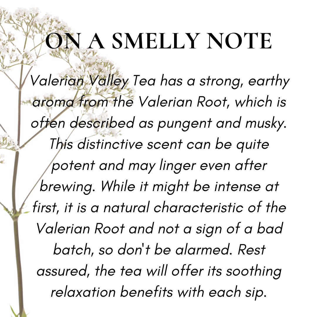 Valerian Root Tea