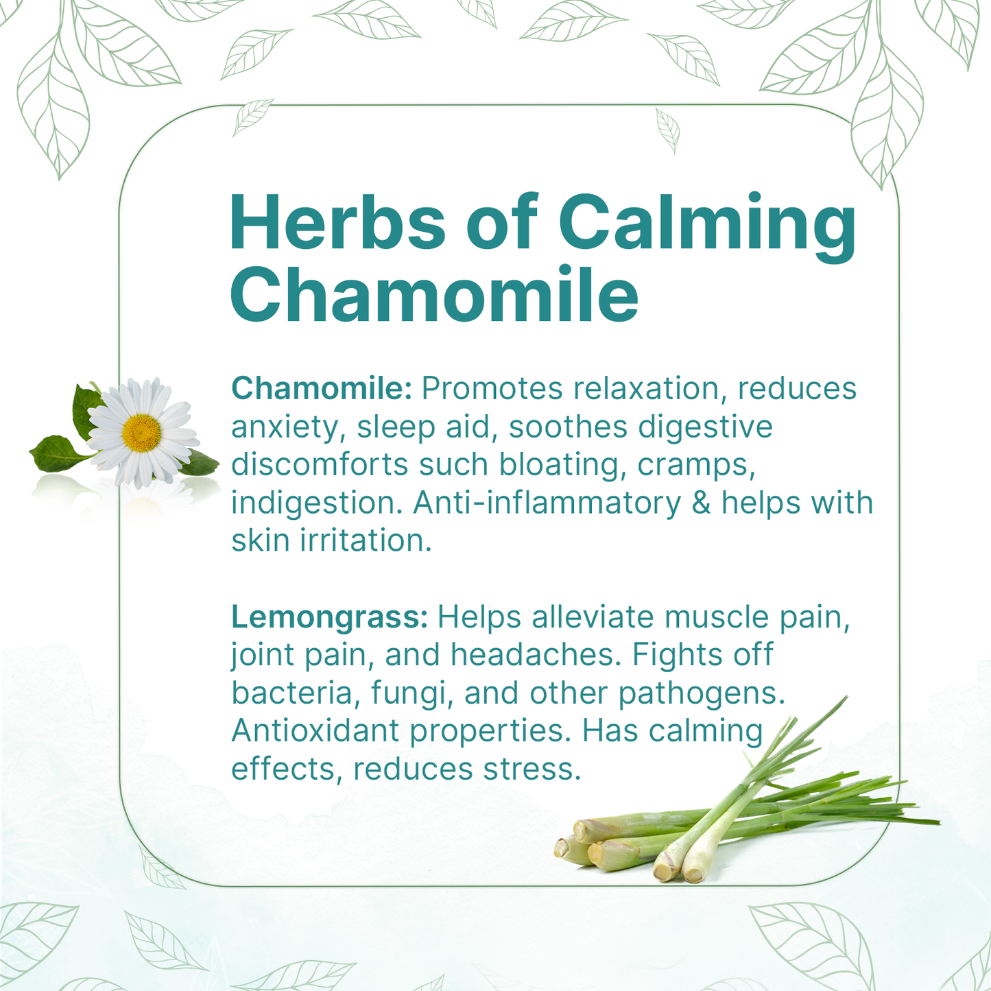 CHAMOMILE & LEMONGRASS TEA