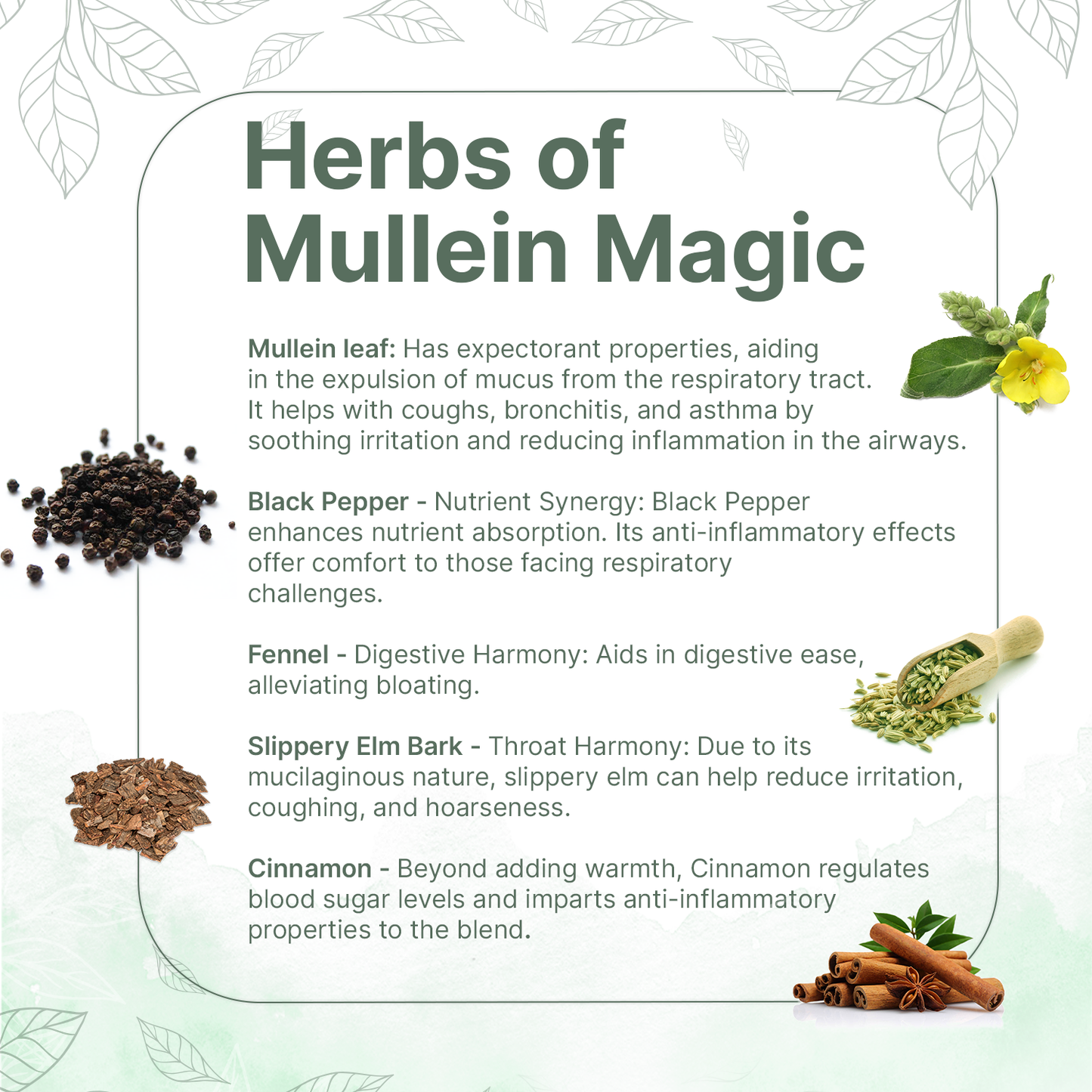 Mullein Blend for Lung Detox