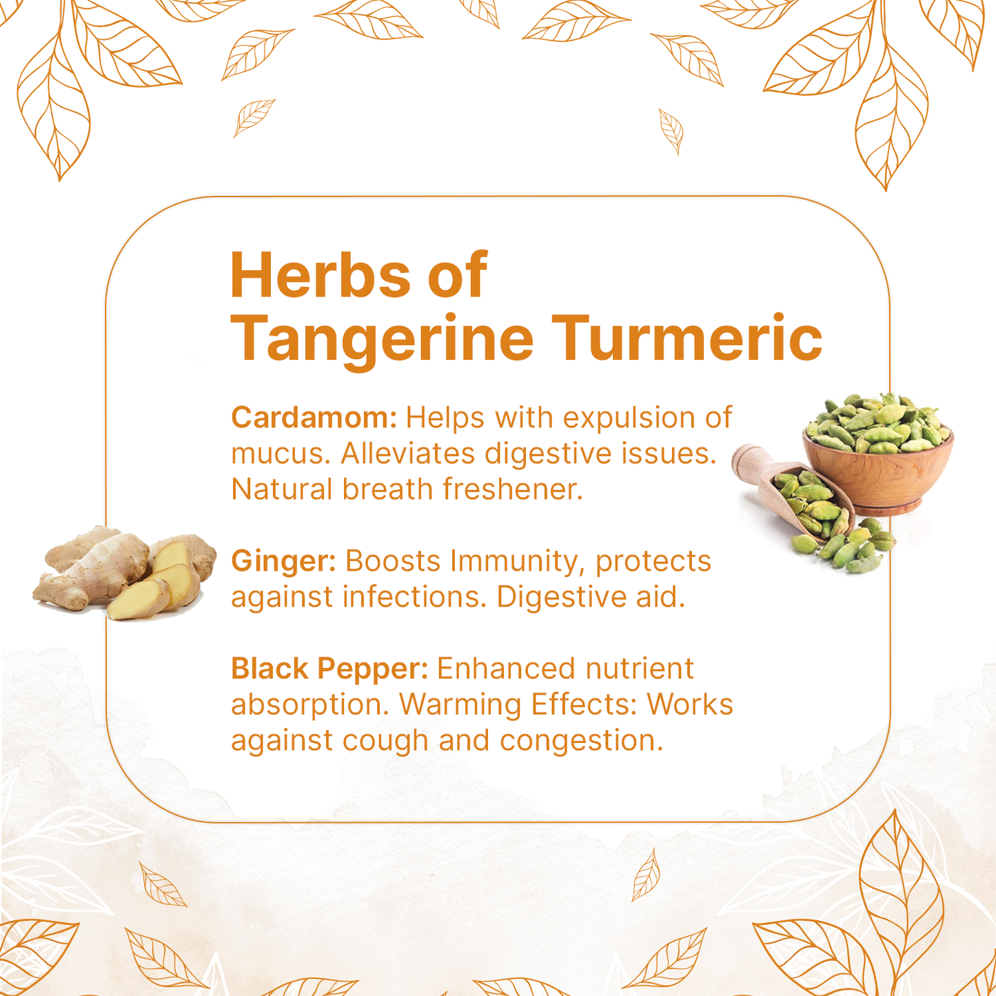 TURMERIC IMMUNITY TEA
