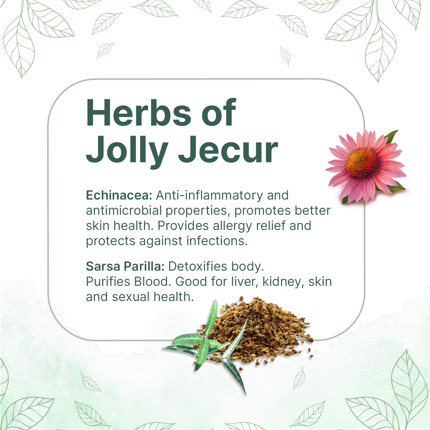 SOL LIVER DETOX TEA