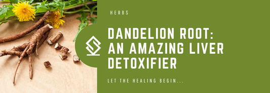 The Amazing Benefits of Dandelion Root for Liver Health