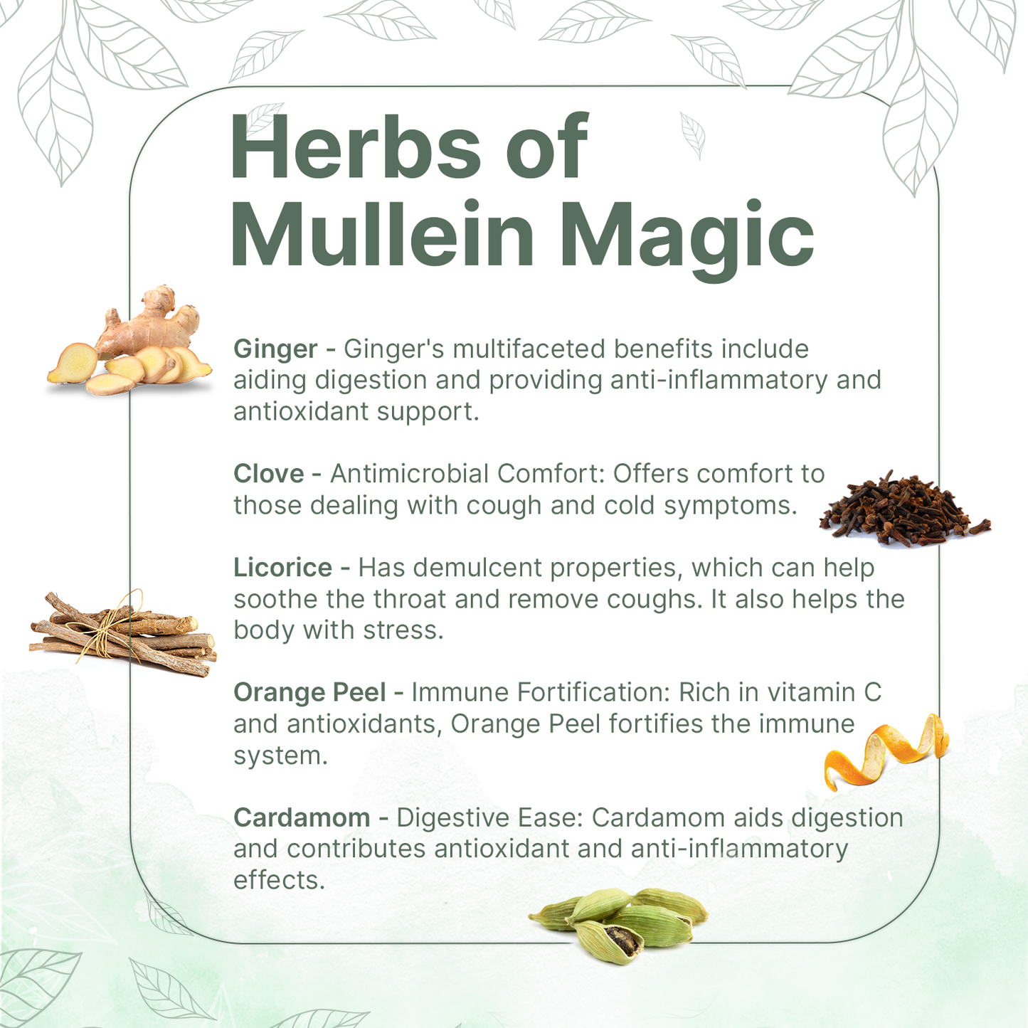 Mullein Blend for Lung Detox